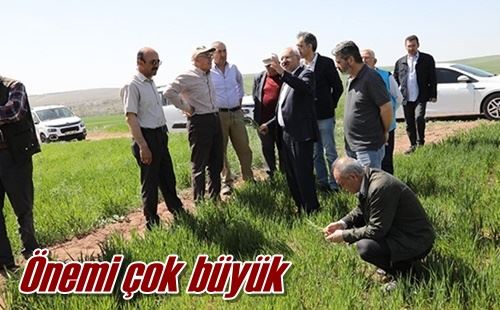 Önemi çok büyük