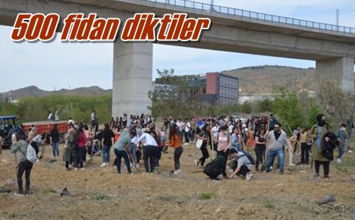 500 fidan diktiler