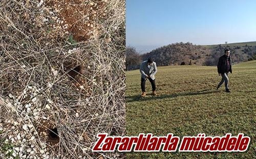 Zararlılarla mücadele