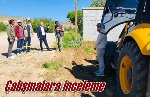 Çalışmalara inceleme