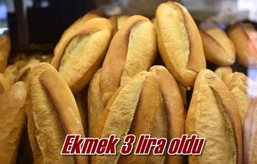 Ekmek 3 lira oldu