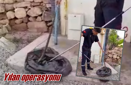Yılan operasyonu