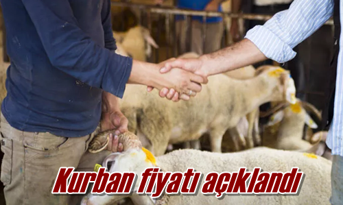 Kurban fiyatı açıklandı