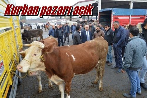 Kurban pazarı açık