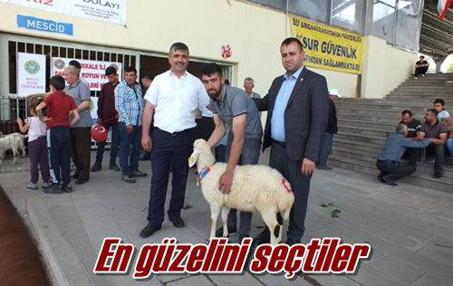 En güzelini seçtiler