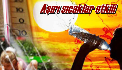 Aşırı sıcaklar etkili