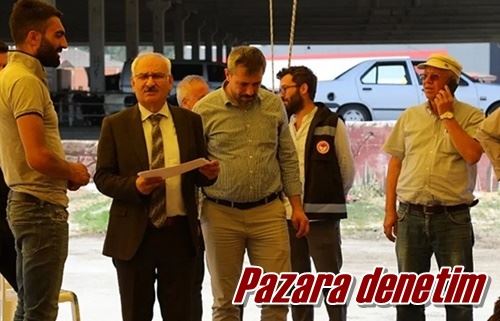 Pazara denetim