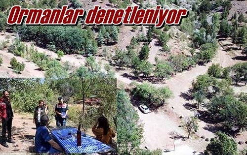 Ormanlar denetleniyor