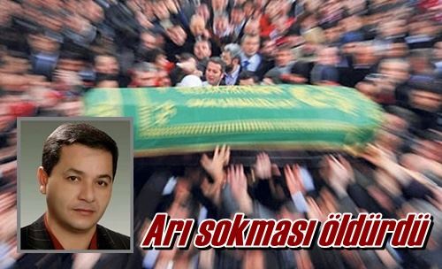 Arı sokması öldürdü