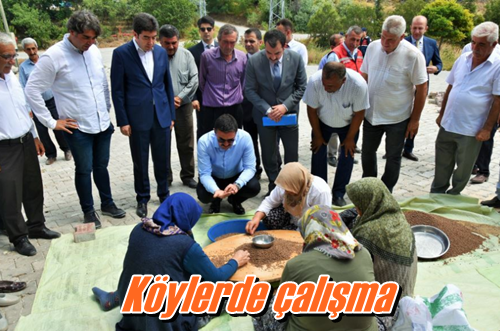 Köylerde çalışma