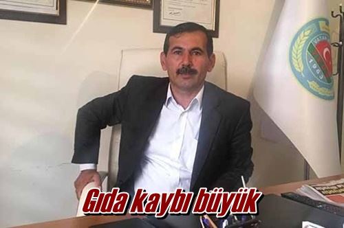 Gıda kaybı büyük