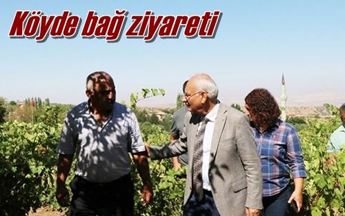 Köyde bağ ziyareti