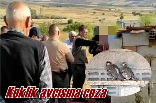 Keklik avcısına ceza