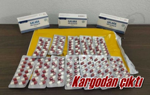 Kargodan çıktı
