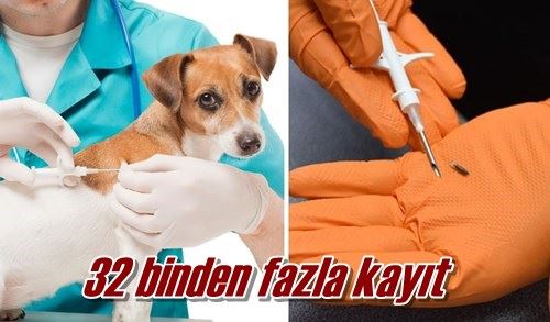 32 binden fazla kayıt
