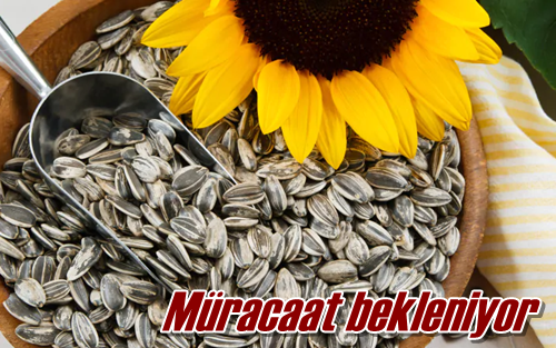 Müracaat bekleniyor