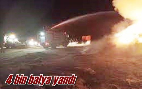 4 bin balya yandı
