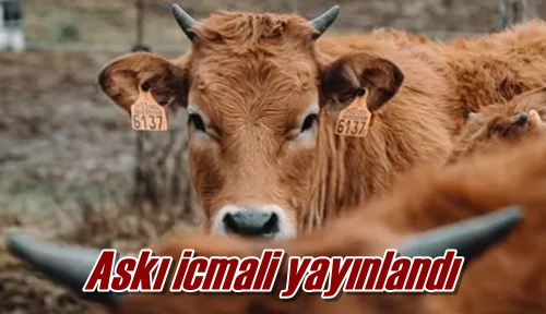 Askı icmali yayınlandı