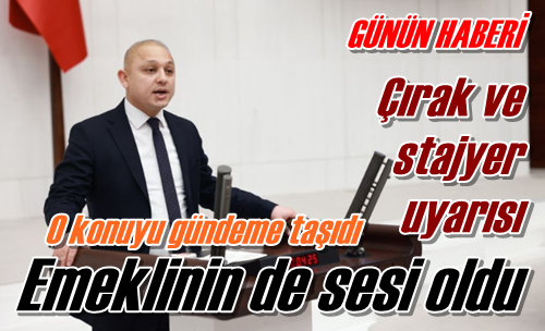 Emeklinin de sesi oldu