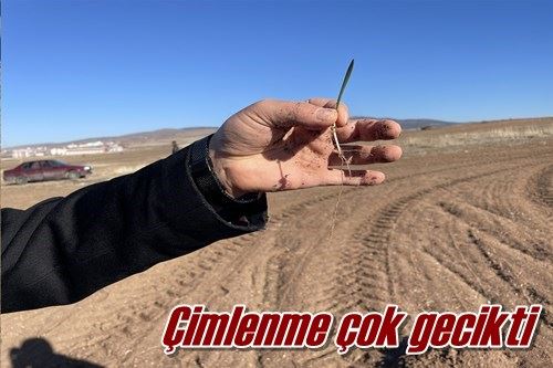Çimlenme çok gecikti