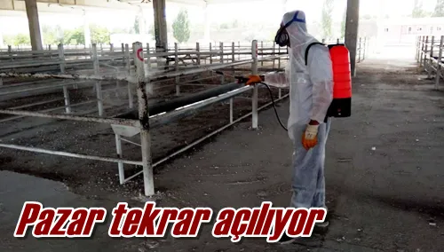 Pazar tekrar açılıyor