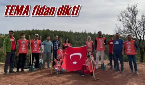 TEMA fidan dikti