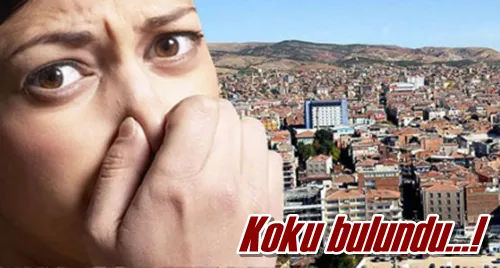 Koku bulundu…!