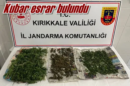 Kubar esrar bulundu