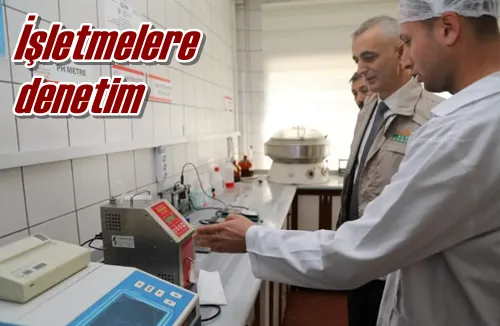 İşletmelere denetim
