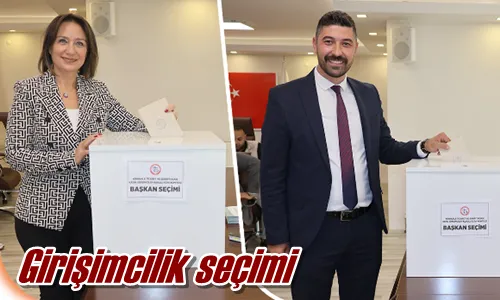 Girişimcilik seçimi