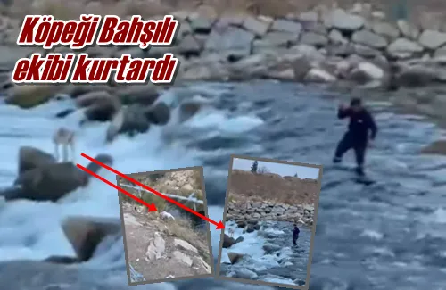 Köpeği Bahşılı ekibi kurtardı