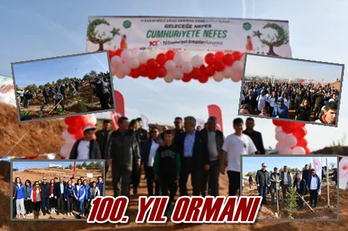 100. YIL ORMANI