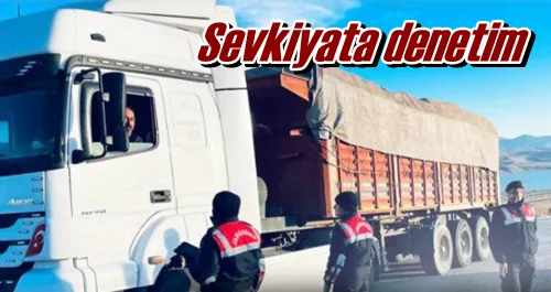 Sevkiyata denetim 