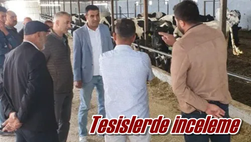 Tesislerde inceleme