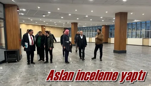 Aslan inceleme yaptı