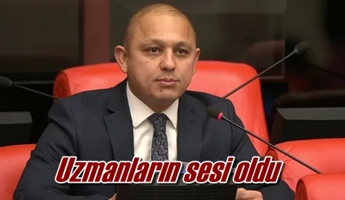 Uzmanların sesi oldu