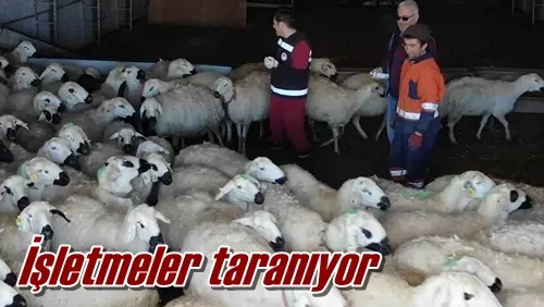 İşletmeler taranıyor