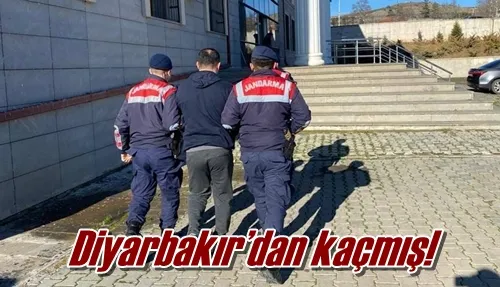 Diyarbakır’dan kaçmış!