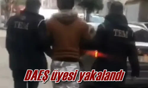 DEAŞ üyesi yakalandı