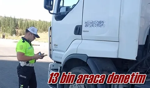 13 bin araca denetim