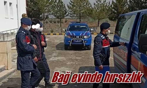 Bağ evinde hırsızlık