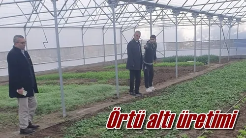 Örtü altı üretimi 