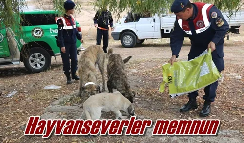 Hayvan severler memnun