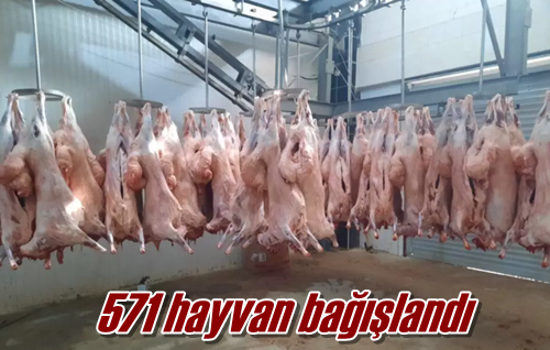 571 hayvan bağışlandı