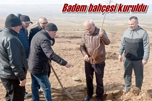 Badem bahçesi kuruldu