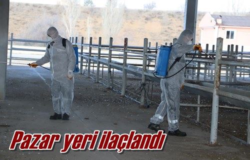 Pazar yeri ilaçlandı