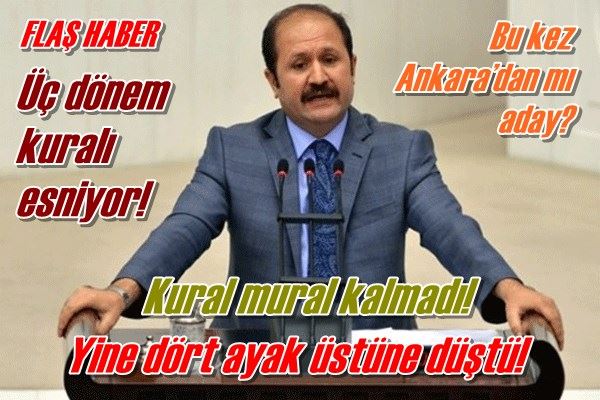 Yine dört ayak üstüne düştü!