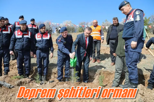 Deprem şehitleri ormanı