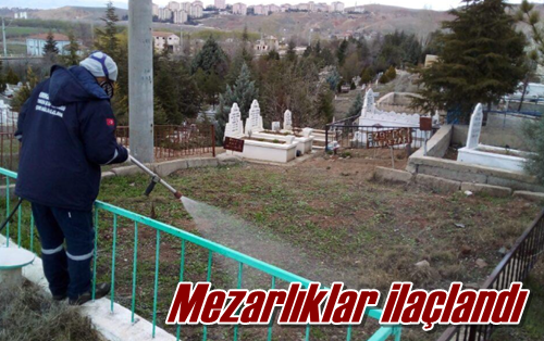 Mezarlıklar ilaçlandı
