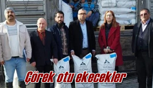 Çörek otu ekecekler
